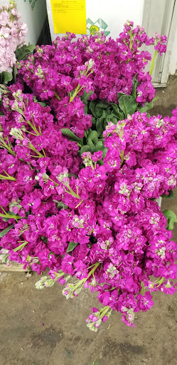 Florist «Sieck-Wright Floral Products», reviews and photos, 231 Monmouth St, Hightstown, NJ 08520, USA