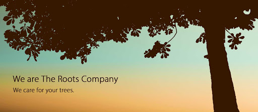 The Roots Company - Bristol Tree Surgeon & Arborist