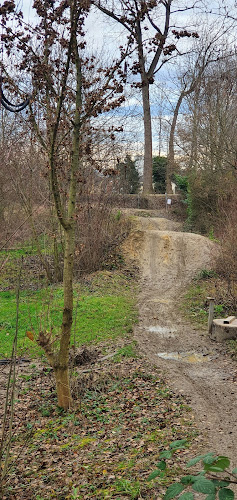 Rezensionen über Dirt track Hegenheimermattweg in Allschwil - Sportgeschäft