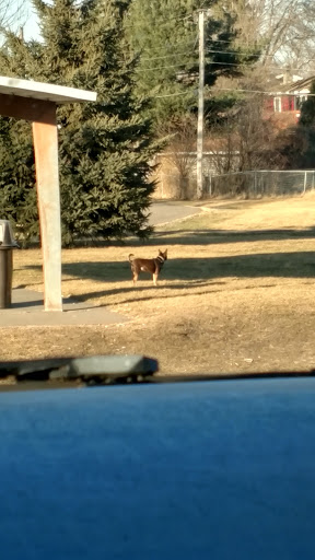 Park «Happy Acres Park», reviews and photos, 11900 7th St NE, Blaine, MN 55434, USA