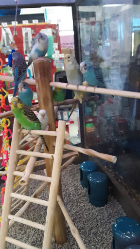 Pet Supply Store «Petco Animal Supplies», reviews and photos, 1591 Sloat Blvd, San Francisco, CA 94132, USA