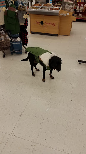 Pet Supply Store «Petco Animal Supplies», reviews and photos, 6596 Youree Dr, Shreveport, LA 71105, USA