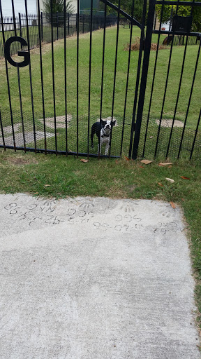 Golf Course «WestRidge Golf Course», reviews and photos, 9055 Cotton Ridge North Road, McKinney, TX 75070, USA