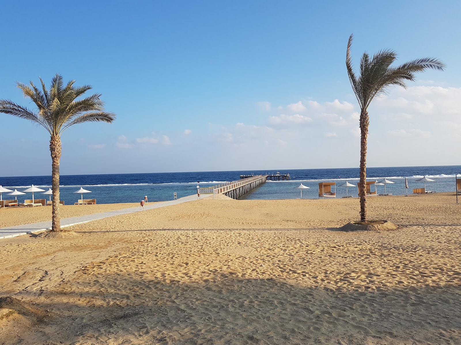 Albatros Sea World Marsa Alam photo #8