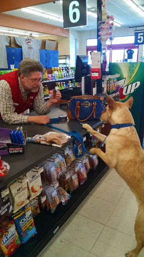 Hardware Store «Green Mountain Ace Hardware», reviews and photos, 12035 W Alameda Pkwy, Lakewood, CO 80228, USA