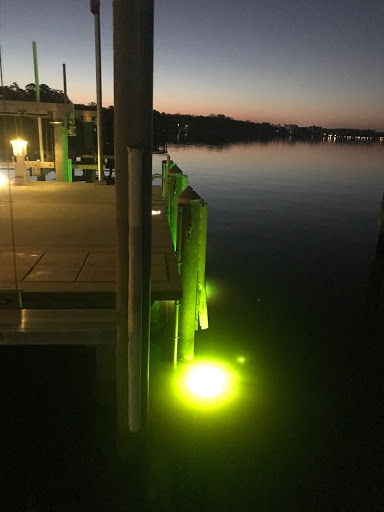 Electrician «American Electrical Contracting, Inc.», reviews and photos, 5065 St Augustine Rd #3, Jacksonville, FL 32207, USA