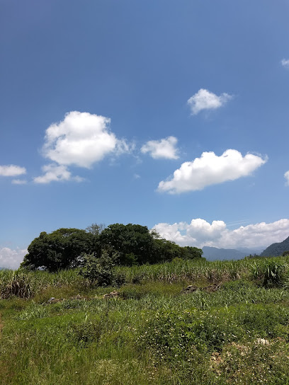 Panteón Municipal, Atzacan, Veracruz