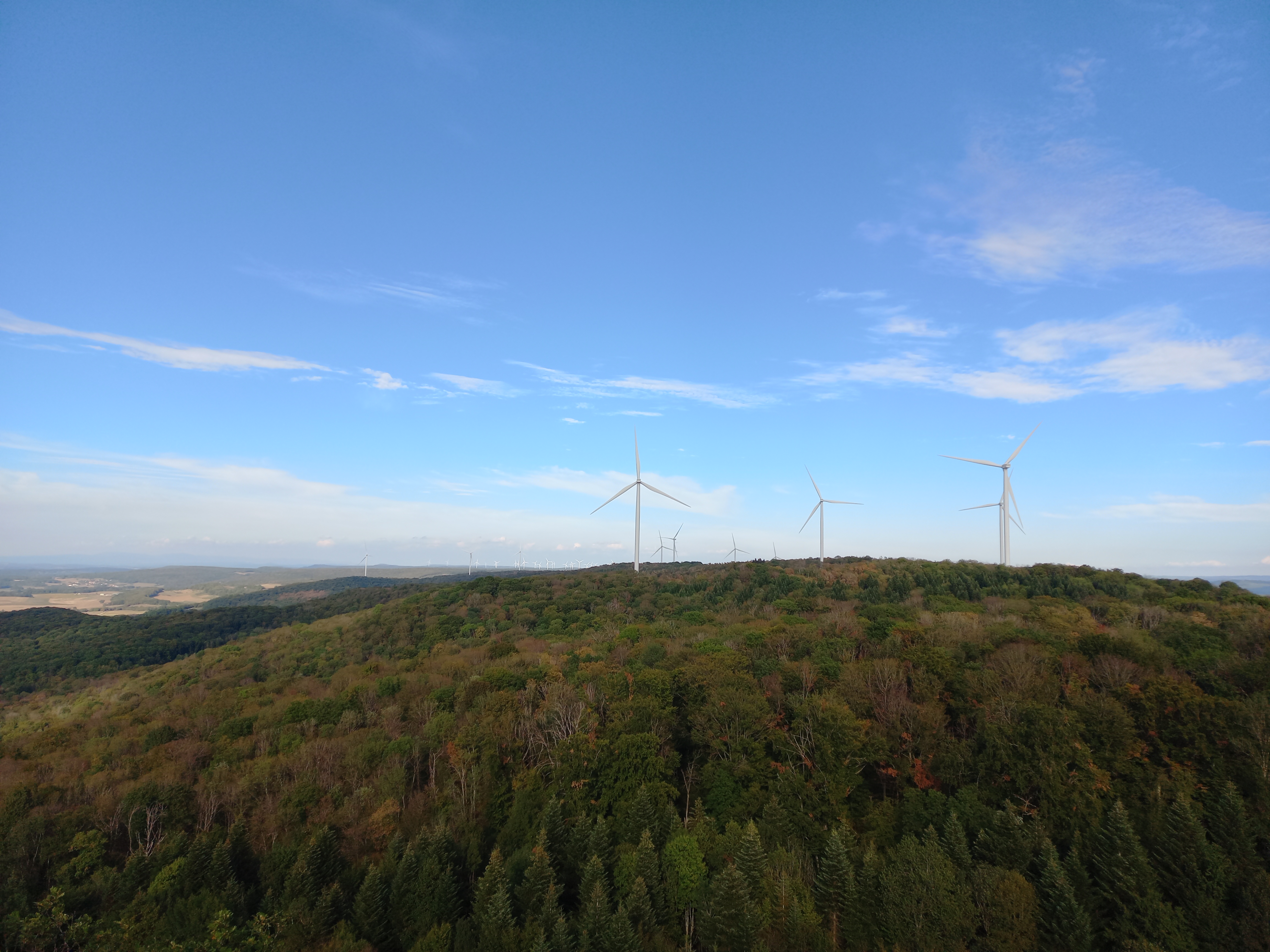 Photo n° 2 de l'avis de Jaroslaw.a fait le 01/09/2022 à 17:33
