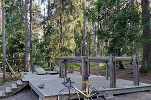 Rinkeby Forest Outdoor Gym image