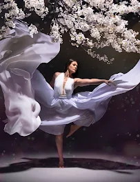 Colored Entropy - Car repair in , Frederick - Rated 0.0/5