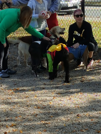 Dog Park «South Boston Bark Park», reviews and photos, 1280 Columbia Rd, Boston, MA 02127, USA