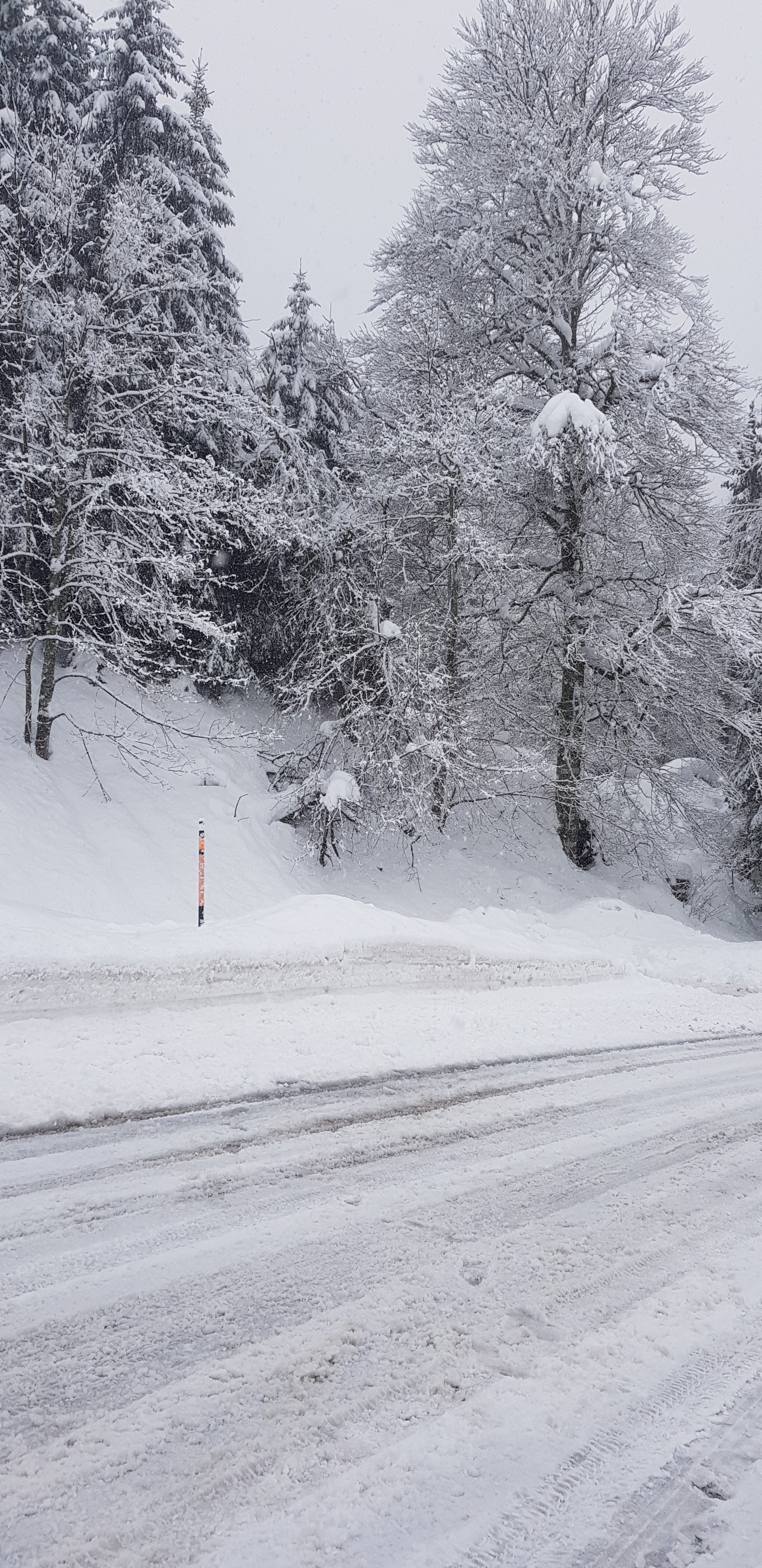 Photo n° 4 de l'avis de Ludovic.* fait le 16/01/2021 à 17:14