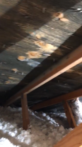 Air Duct Cleaning Service «Craftsman Custom Design», reviews and photos