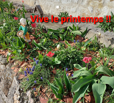 Lise Monique à Villers-Cotterêts