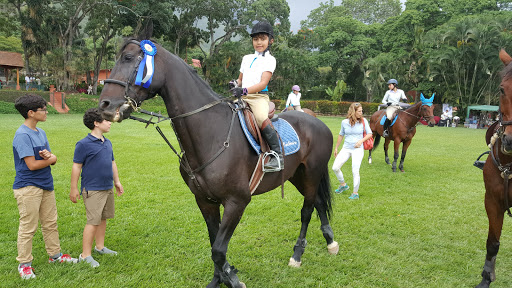 Clases montar caballo Caracas
