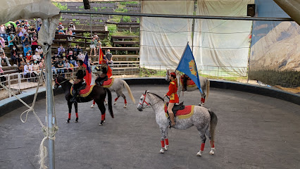 观山牧区 马术表演