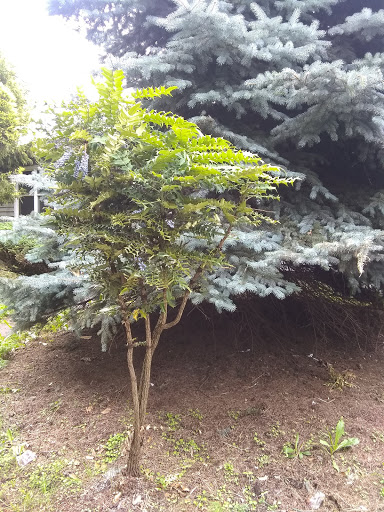 Park «Mt. Scott Park», reviews and photos, SE 72nd Ave & Southeast Harold Street, Portland, OR 97206, USA