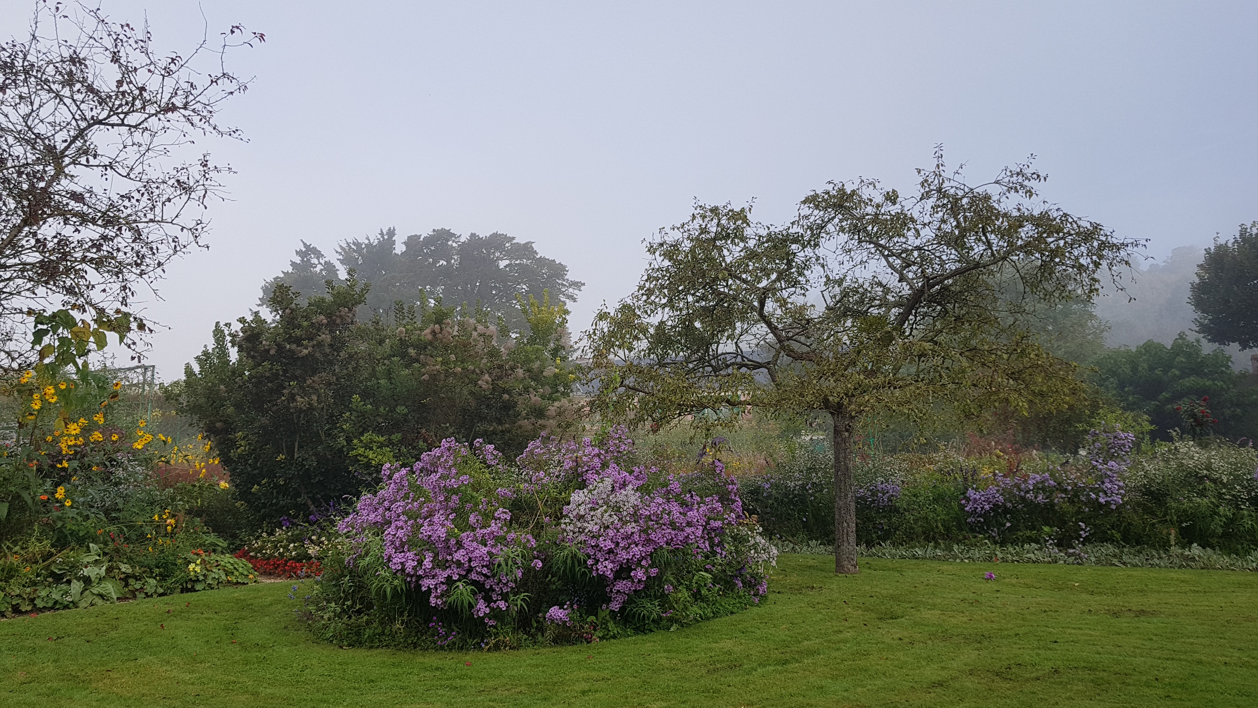 Photo n° 8 de l'avis de Patricia. fait le 10/10/2021 à 20:17