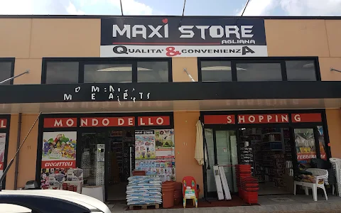 Maxi Store image