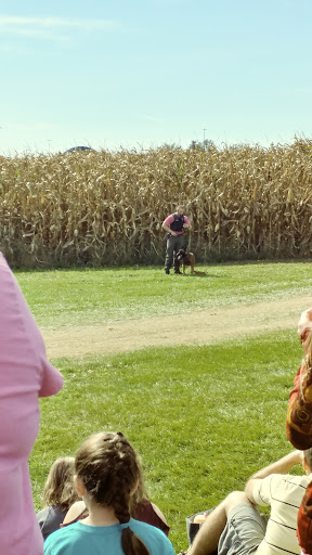 Tourist Attraction «Oregon Dairy Corn Maze», reviews and photos, 1289 Creek Rd, Lititz, PA 17543, USA