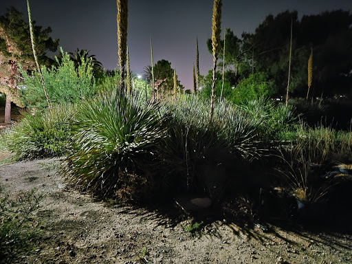 Casino «M Resort Spa Casino», reviews and photos, 12300 S Las Vegas Blvd, Henderson, NV 89044, USA