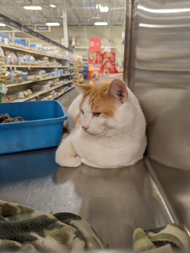 Pet Supply Store «PetSmart», reviews and photos, 13000 Aurora Ave N, Seattle, WA 98133, USA