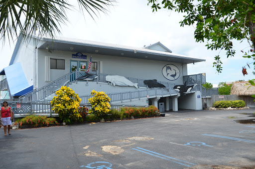Recreation «Dolphins Plus Oceanside», reviews and photos, 31 Corinne Pl, Key Largo, FL 33037, USA