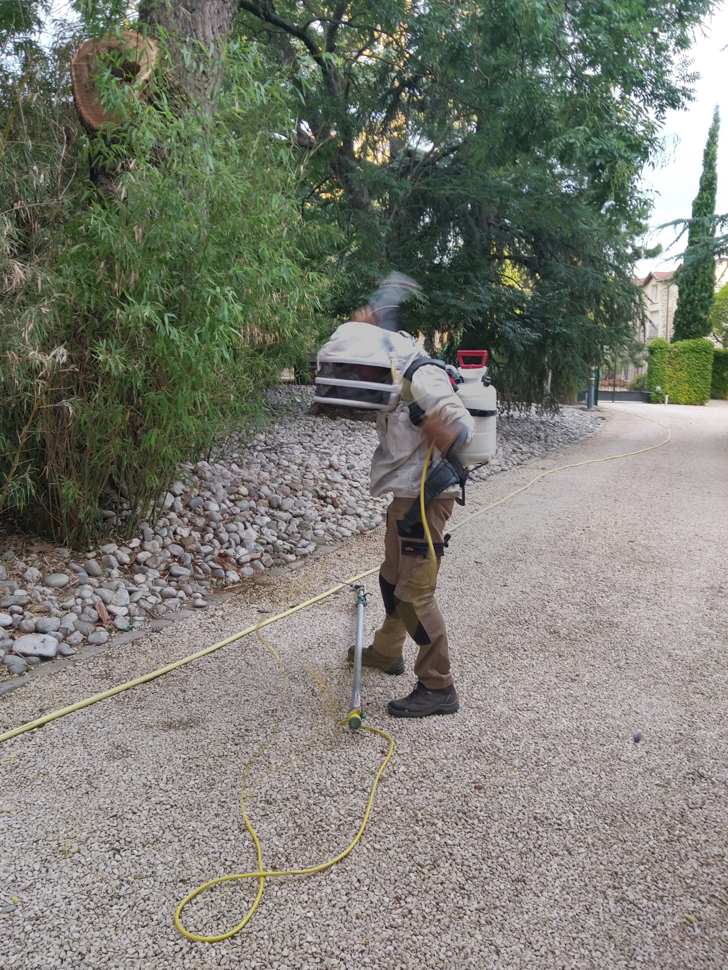 Photo n° 5 de l'avis de frederic.e fait le 28/08/2020 à 07:54