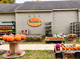 Bumpys Natural and Organic Foods