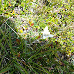 Photo n°1 de l'avis de Franco.o fait le 30/08/2018 à 20:01 sur le  Hotel Falzares - Alta Badia - Südtirol à San Ciascian