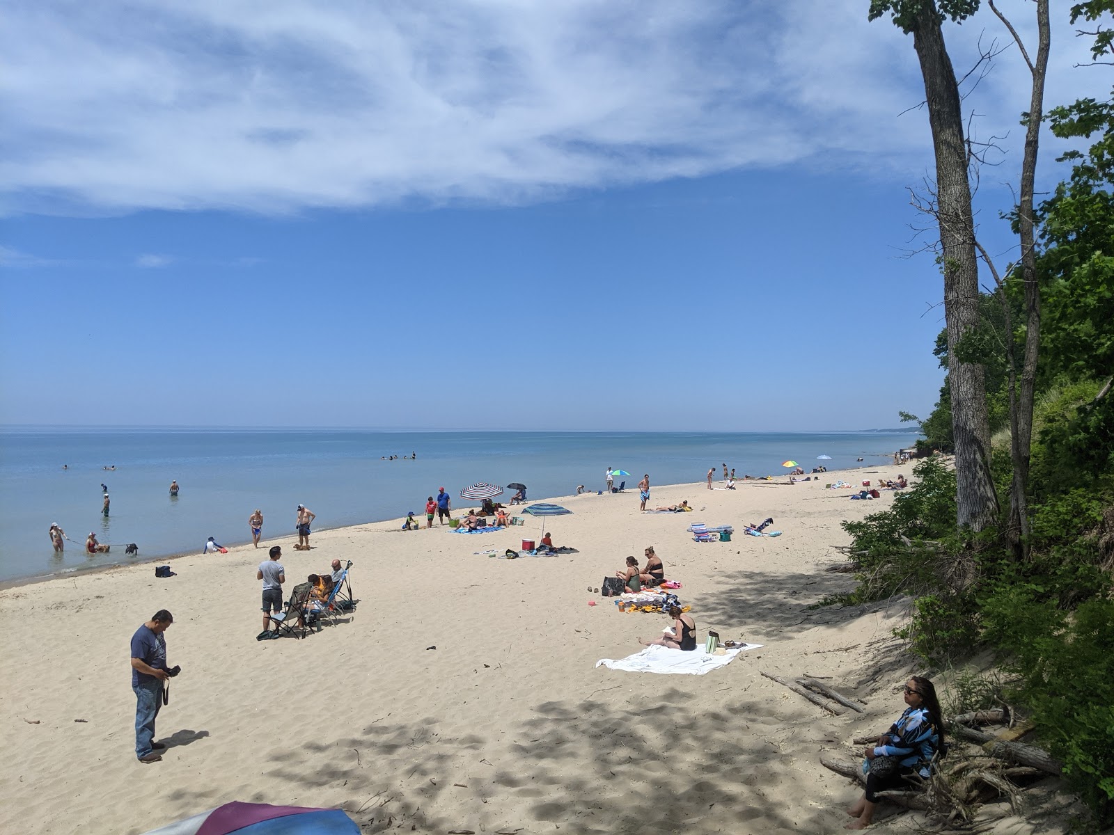 Hagar Park'in fotoğrafı - tatil için iyi evcil hayvan dostu nokta