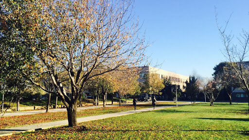 School of Economics - Tor Vergata University of Rome