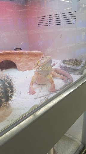 Pet Supply Store «Pet Supplies Plus», reviews and photos, 1137 Annapolis Rd, Odenton, MD 21113, USA