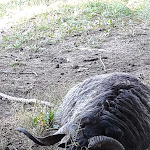 Photo n°15 de l'avis de Elena.a fait le 29/09/2019 à 18:57 sur le  Lobishof Albergo à Oberbozen