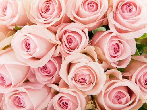 Ohana Creations Florist & Flower Delivery image