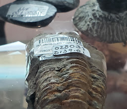 MineraliA Centro2 photo