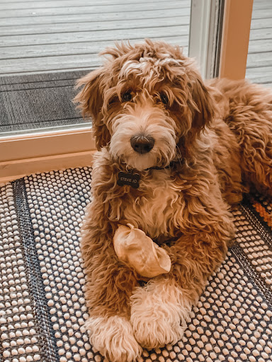 Pet Supply Store «PetSmart», reviews and photos, 11200 Prairie Lakes Dr, Eden Prairie, MN 55344, USA