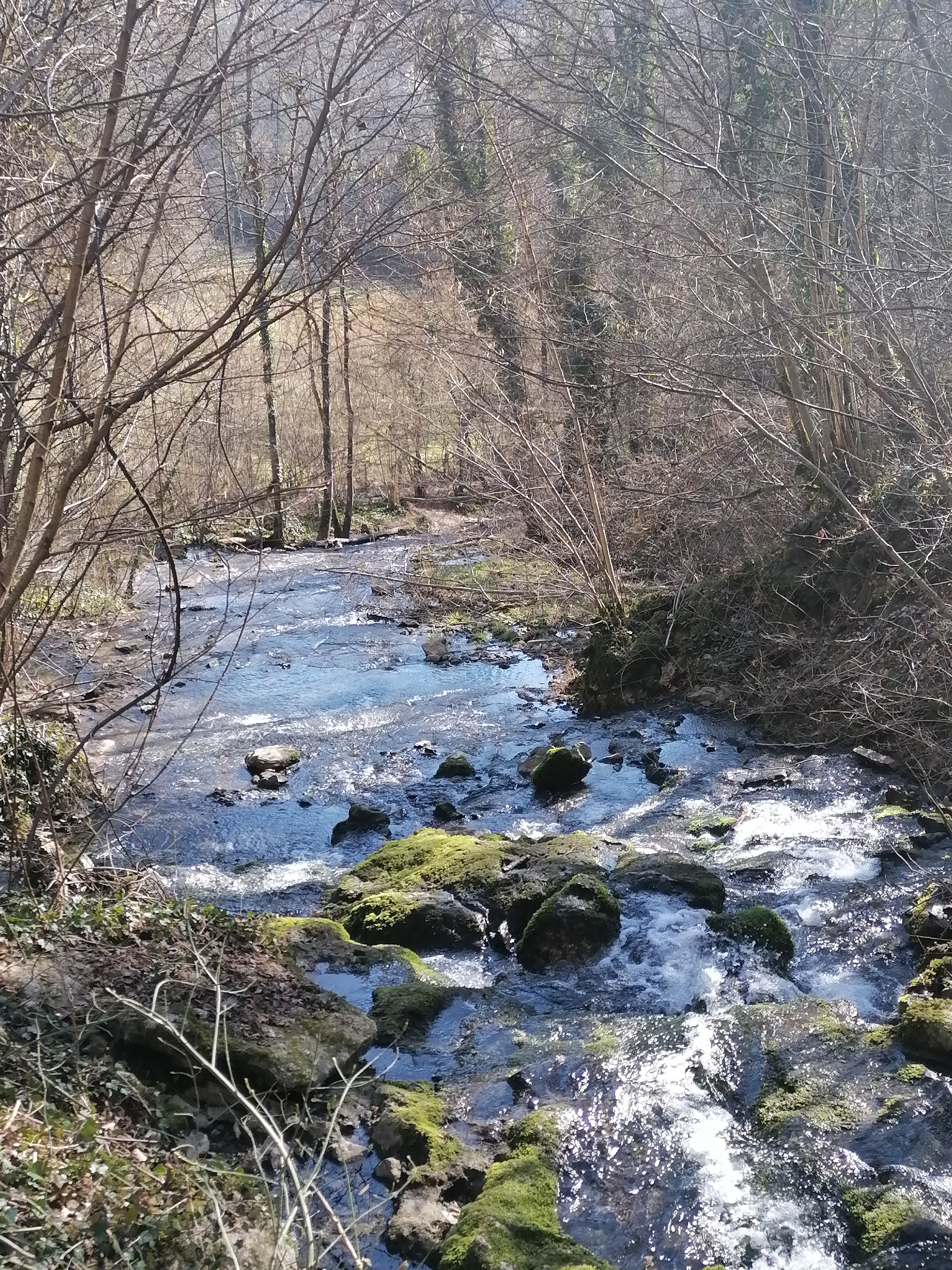Photo n° 3 de l'avis de Aurélie.e fait le 27/02/2021 à 13:54