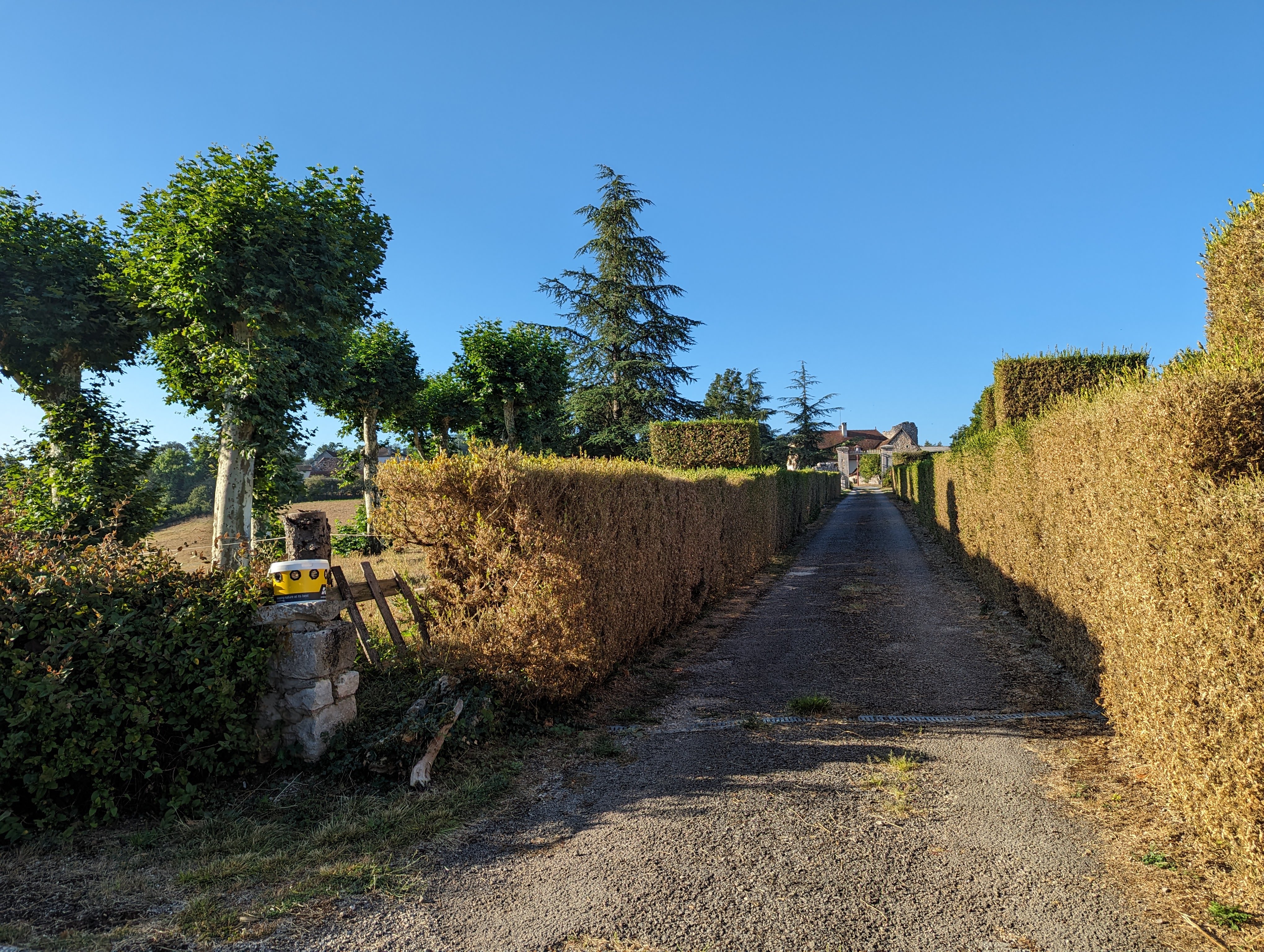 Photo n° 31 de l'avis de DELAFONTAINE.T fait le 25/08/2023 à 15:31