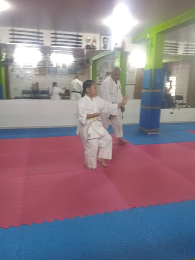 Escuela De Artes Marciales Karate Do Shito Ryu