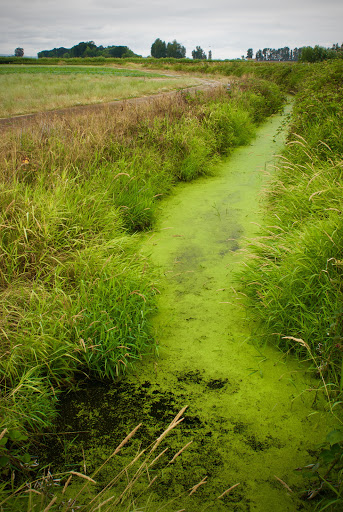 Farm «Bella Organic Farm», reviews and photos, 16205 NW Gillihan Rd, Portland, OR 97231, USA