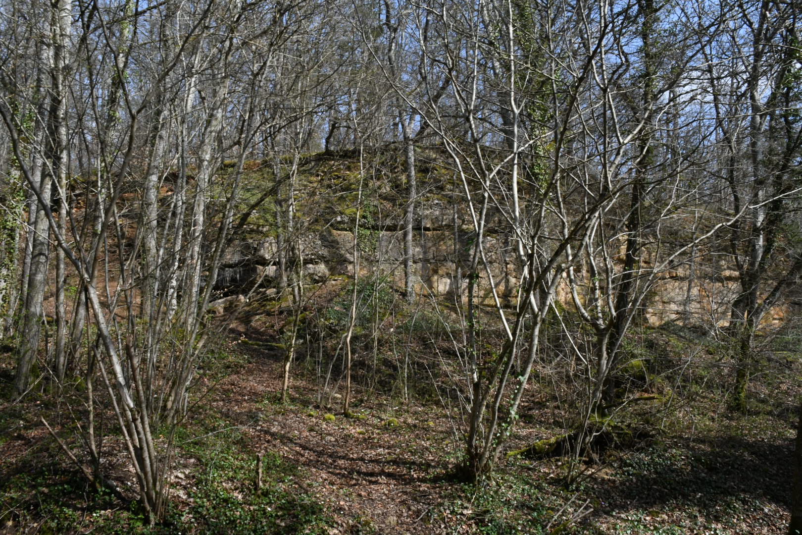 Photo n° 19 de l'avis de Phidis.a fait le 21/03/2024 à 20:19