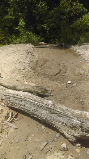 Nature Preserve «Pine Bend Bluffs Scientific and Natural Area (SNA)», reviews and photos, 111th St E, Inver Grove Heights, MN 55077, USA