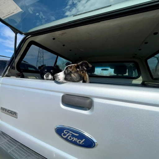 Auto Repair Shop «Diablo Auto Specialists», reviews and photos, 1413 Carlback Ave, Walnut Creek, CA 94596, USA