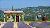 Olive Grove Roundabout Montauroux