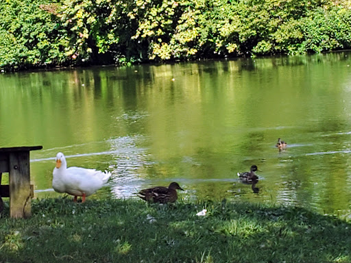 Park «Craig Park», reviews and photos, 2013 W County Rd 950 N, Brazil, IN 47834, USA