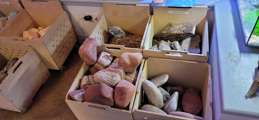 Tropical Fish Store «Old Town Aquarium», reviews and photos, 1538 N Wells St, Chicago, IL 60610, USA