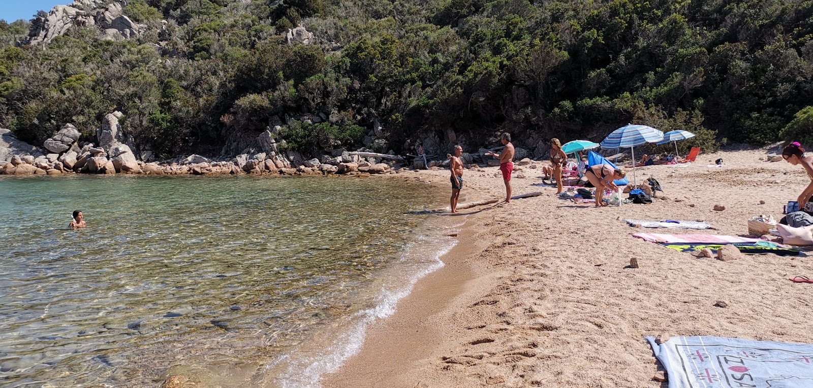 Fotografija Spiaggia di Cala Brigantina nahaja se v naravnem okolju