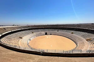 Oran Arena image