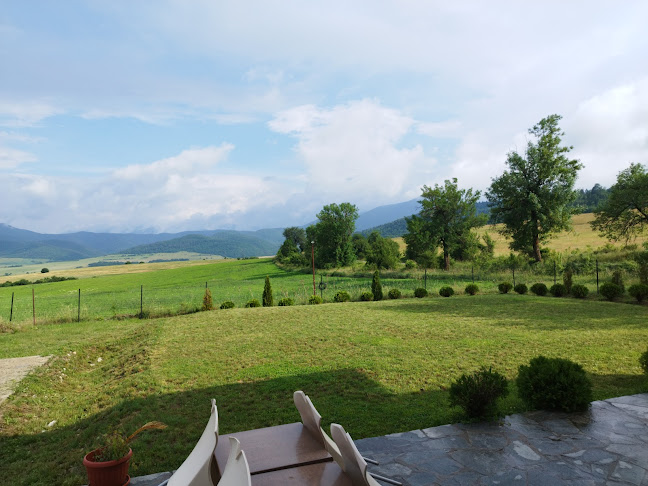 общ, улица "Първа 117, 3950 Върбово